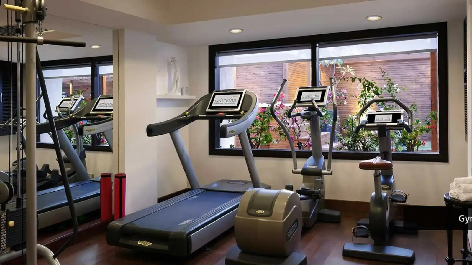 Ambience-Creacions=Apartment-and-Penthouse-In-Sector-22 Gurgaon-Gym